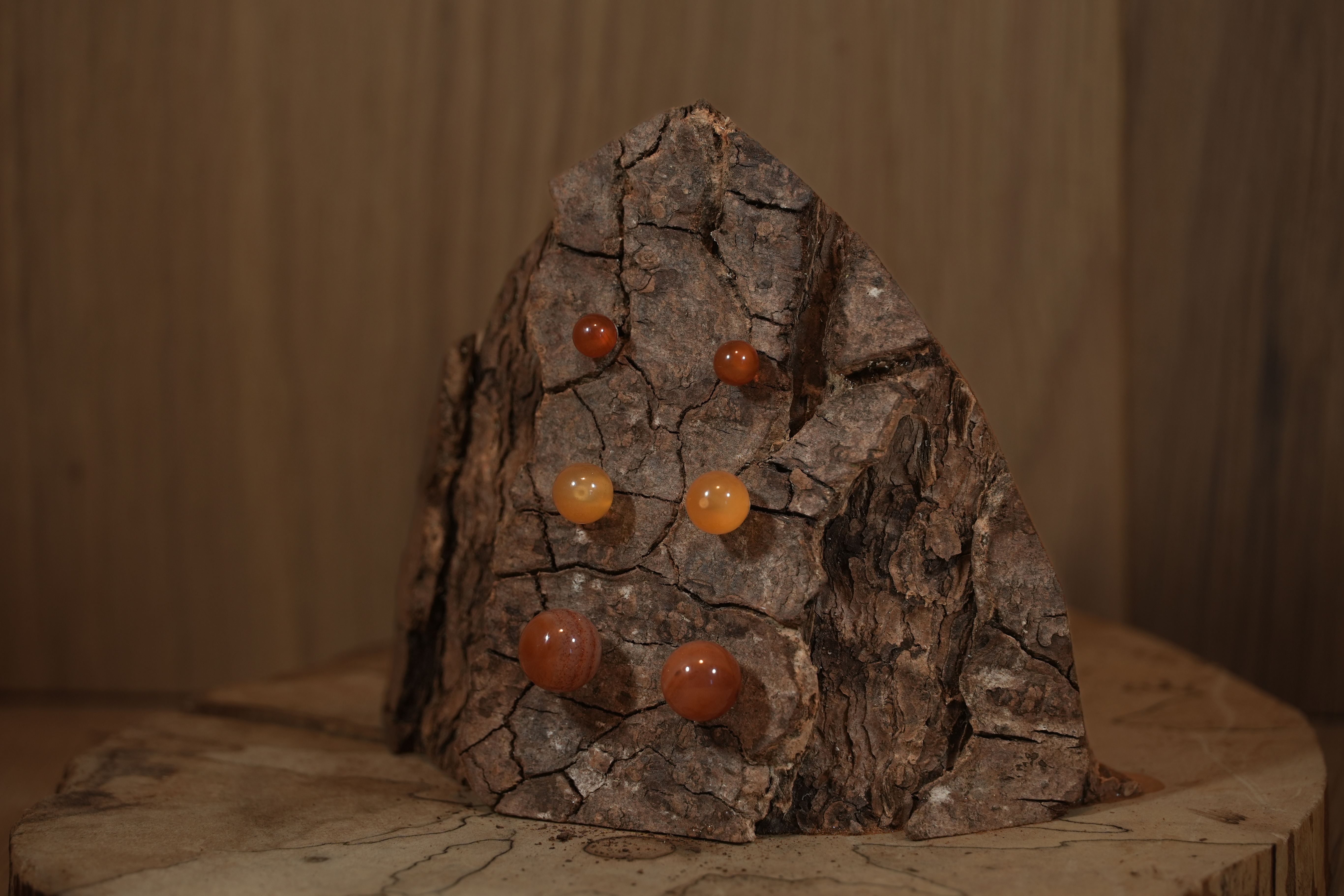 Carnelian stud earrings in different sizes