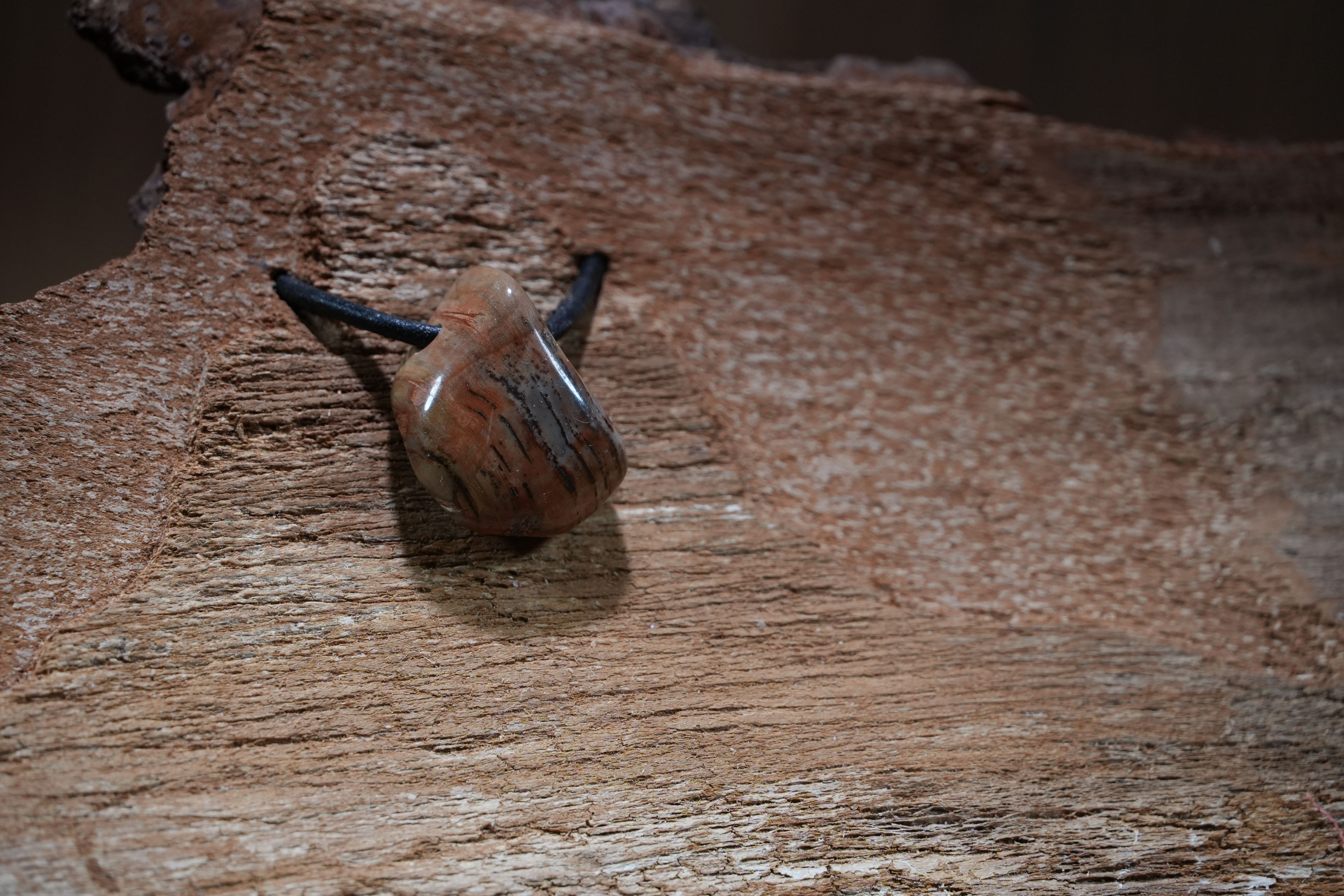 Petrified wood, Drilled · No. 1, 2 × 2.7 cm