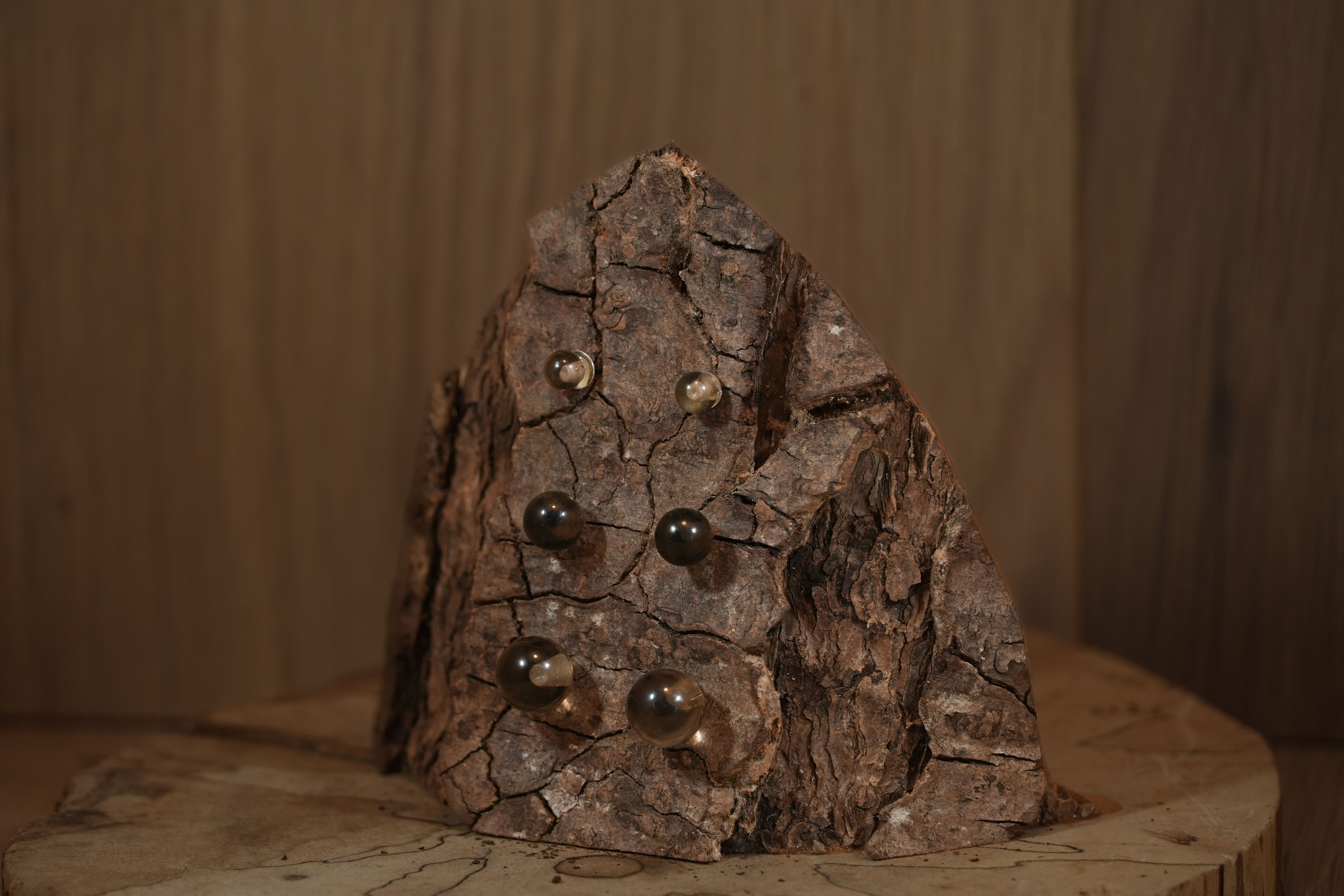 Smoky quartz stud earrings in different sizes